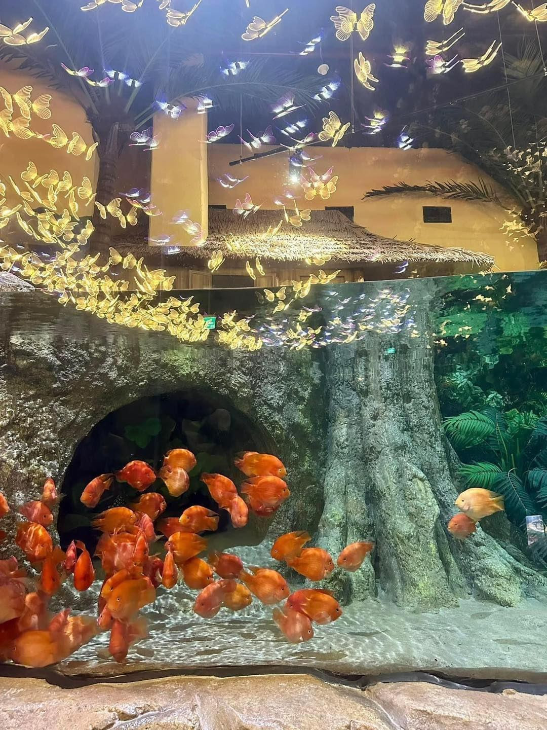 Thủy Cung Lotte Tây Hồ