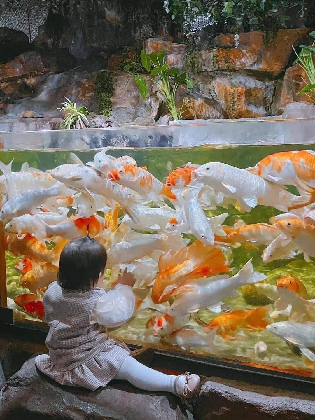 Thủy Cung Lotte Tây Hồ