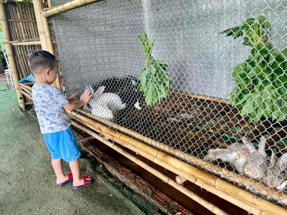 TBS Green Valley Long Biên