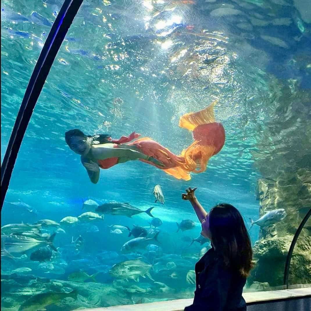 Thủy Cung Lotte Tây Hồ