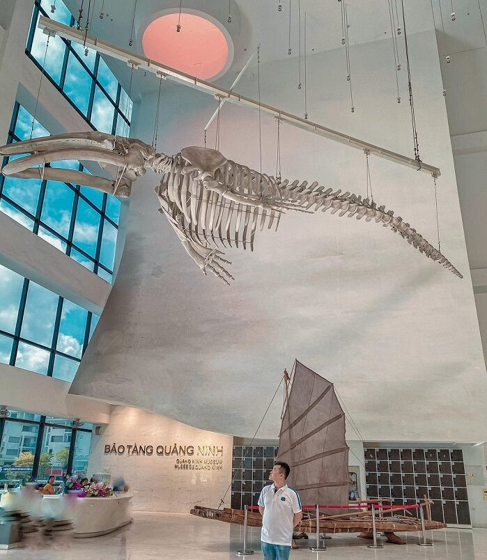 Bảo tàng Quảng Ninh Hạ Long