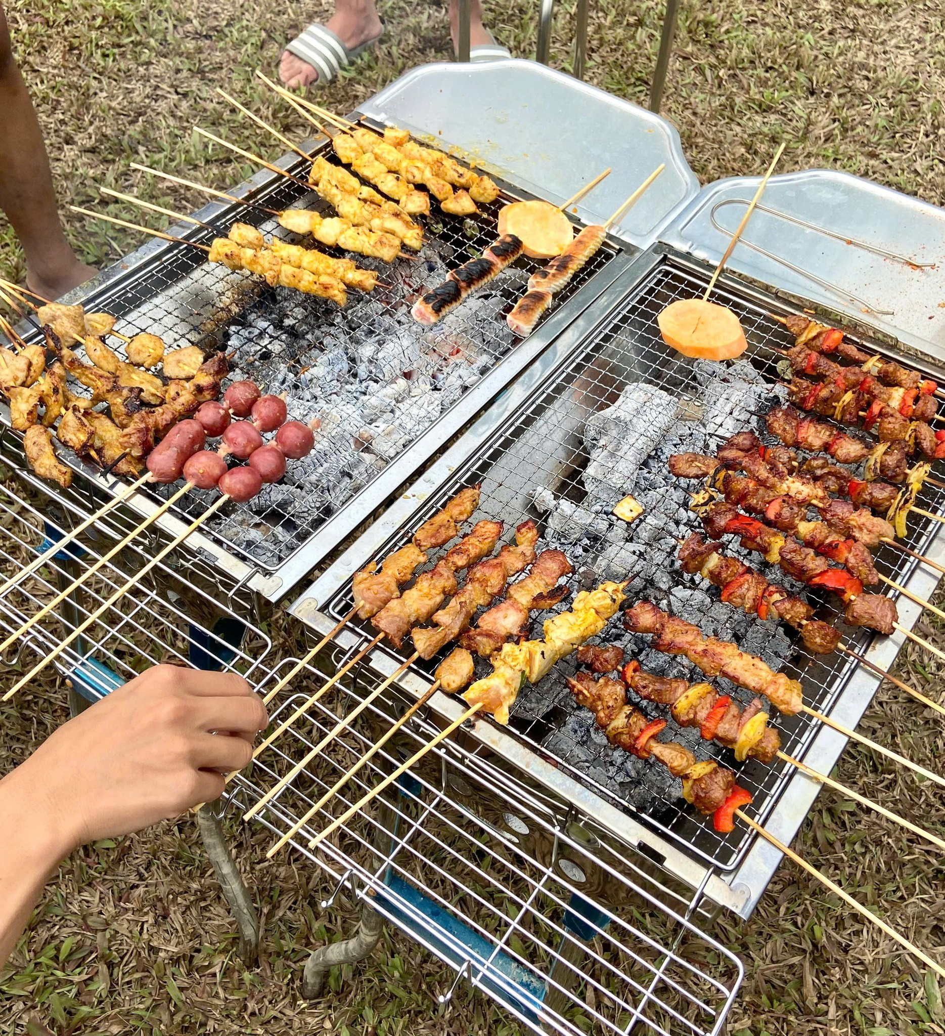 Bách Thảo Ngân Tuyên Quang