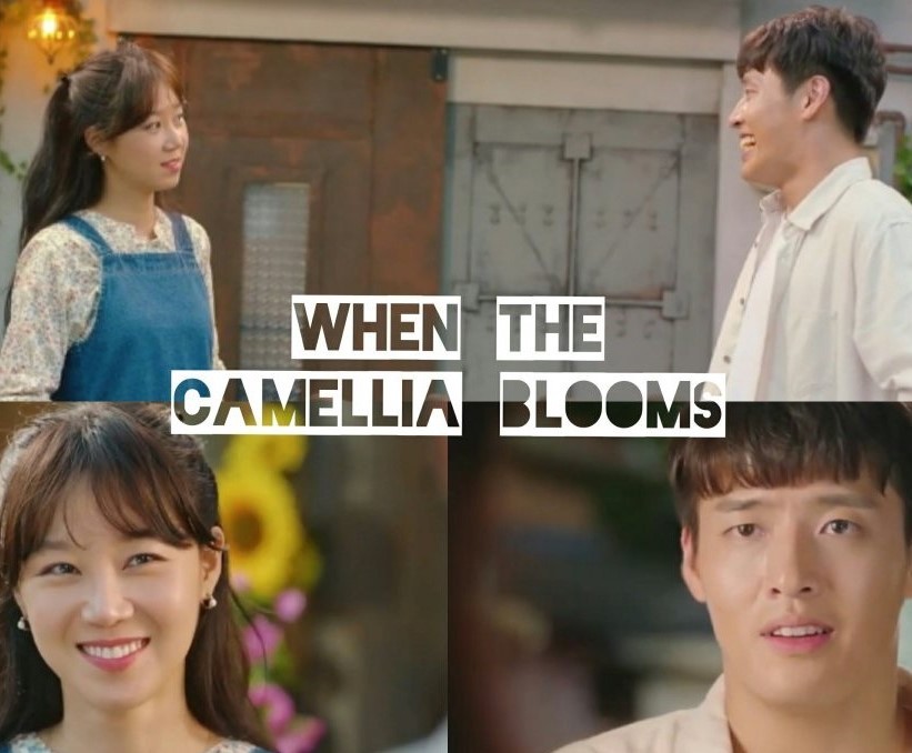 When the Camellia Blooms- Khi Cây Trà Trổ Hoa