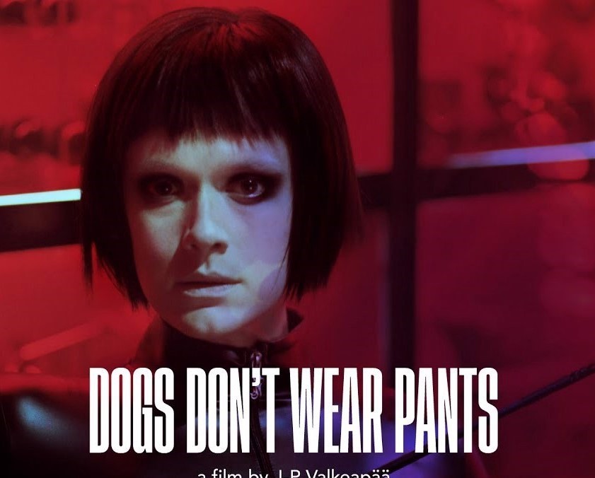 Kẻ thống trị tình dục- Dogs Don’t Wear Pants