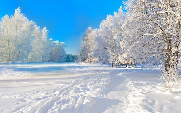 Bài văn tả cảnh mùa đông 3