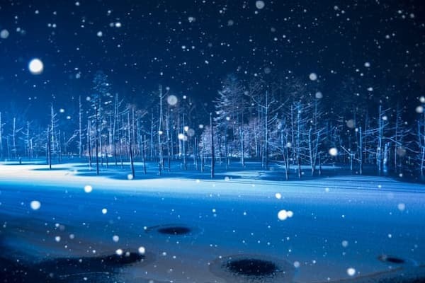 Bài văn tả cảnh mùa đông 5