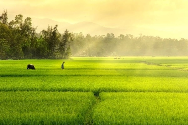 Tranh phong cảnh bình minh, tràn đầy NĂNG LƯỢNG, khởi đầu ngày mới - Hà Nội  - SoHot.vn