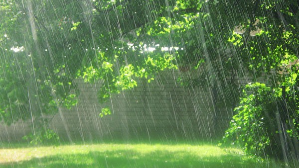 Bài văn tả cơn mưa số 2