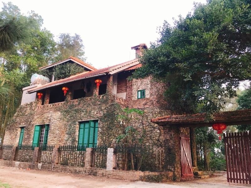 Homestay Jungle House Bắc Ninh