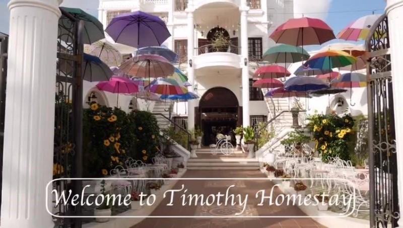 Timothy Homestay